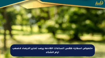 «غموض أسفار» طقس الساعات القادمة يرصد تحذير الأرصاد لأصعب أيام الشتاء